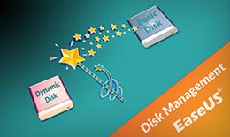 convert dynamic disk to basic